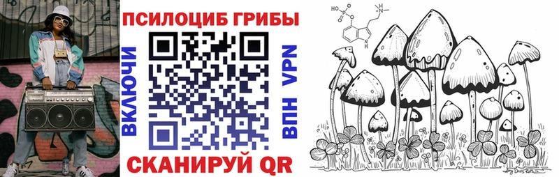 Псилоцибиновые грибы мухоморы Алзамай
